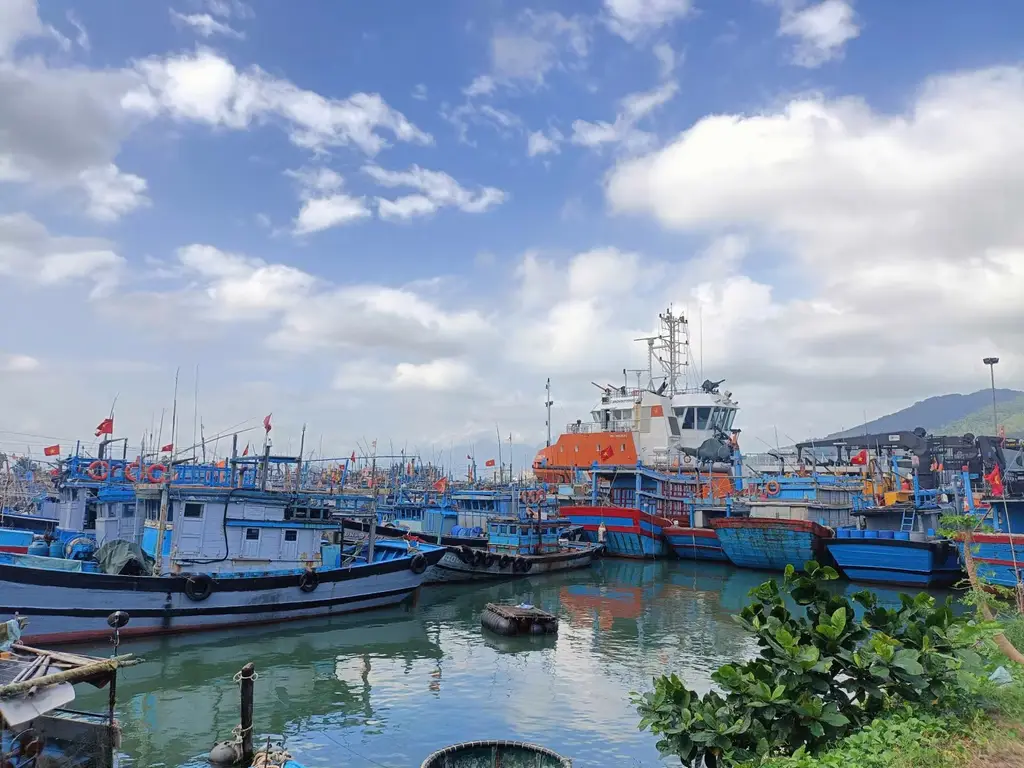 Bán đất Vân Đồn, Sơn Trà – 10.000 m², 290 tỷ – ảnh 3