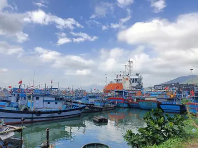 Bán đất Vân Đồn, Sơn Trà – 10.000 m², 290 tỷ – ảnh 3