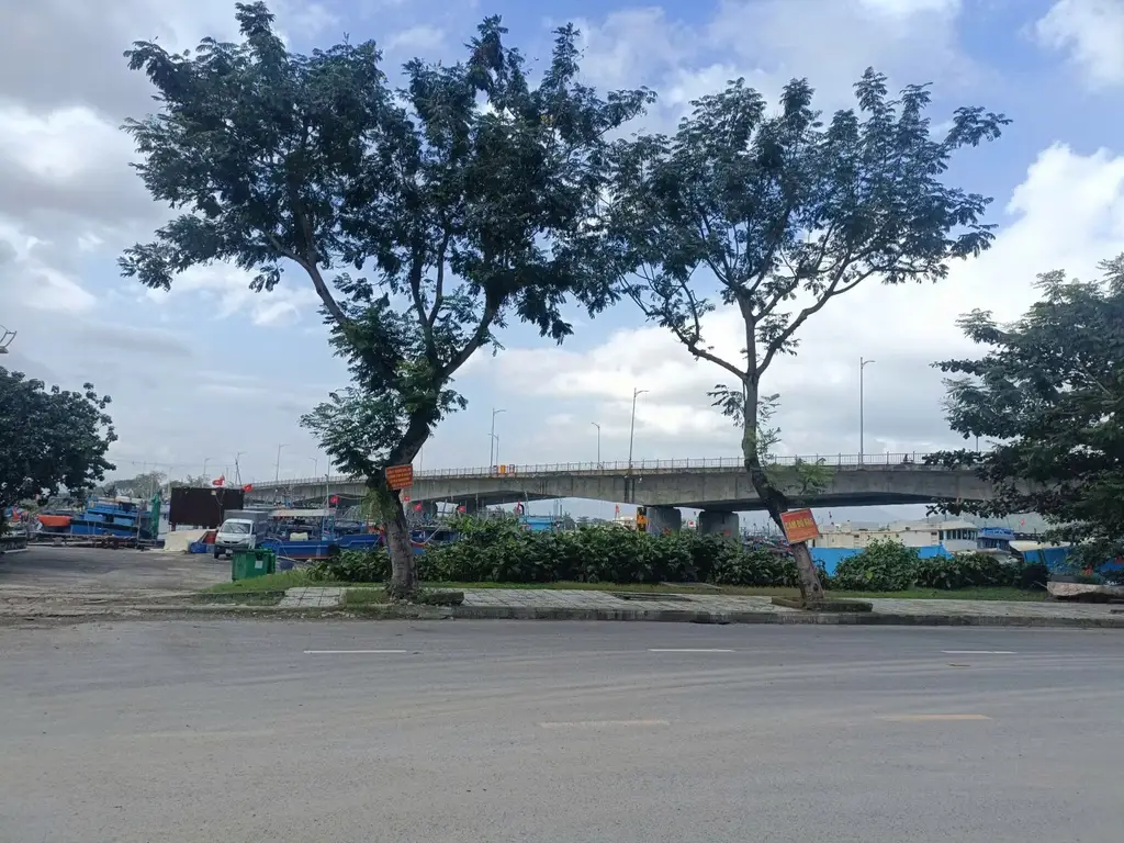 Bán đất Vân Đồn, Sơn Trà – 10.000 m², 290 tỷ – ảnh 4