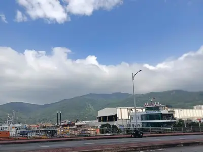 Bán đất Vân Đồn, Sơn Trà – 10.000 m², 290 tỷ – ảnh 5