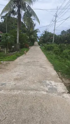 Bán đất Khối Phố Quảng Giá – Điện Dương – Điện Bàn – Quảng Nam, Quảng Nam (khu khác) – 350 m², 4,1 tỷ – ảnh 3