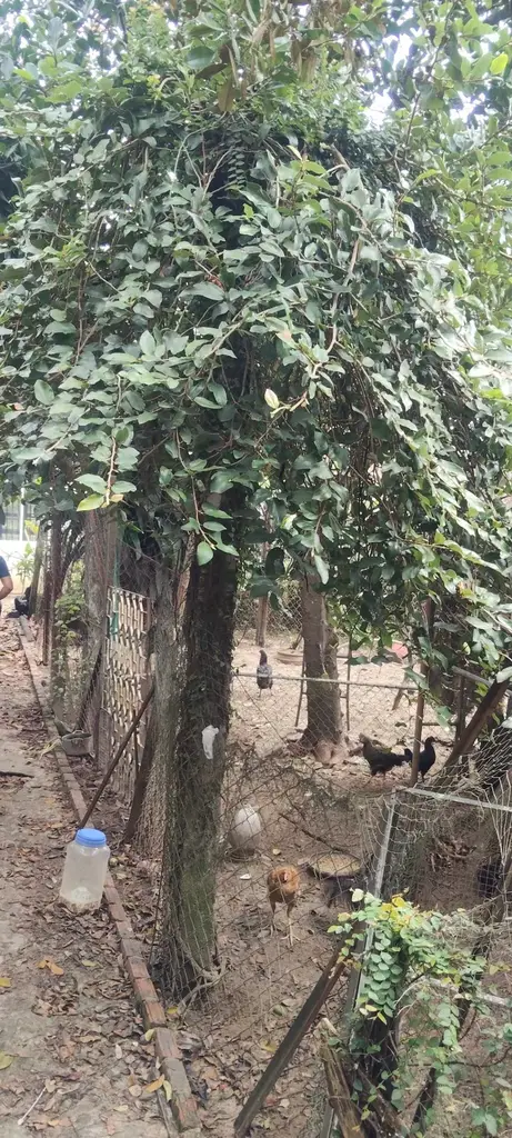 Bán nhà mặt tiền Nguyễn Tất Thành, Hội An – 1.600 m², 2 tầng, 35 tỷ – ảnh 3
