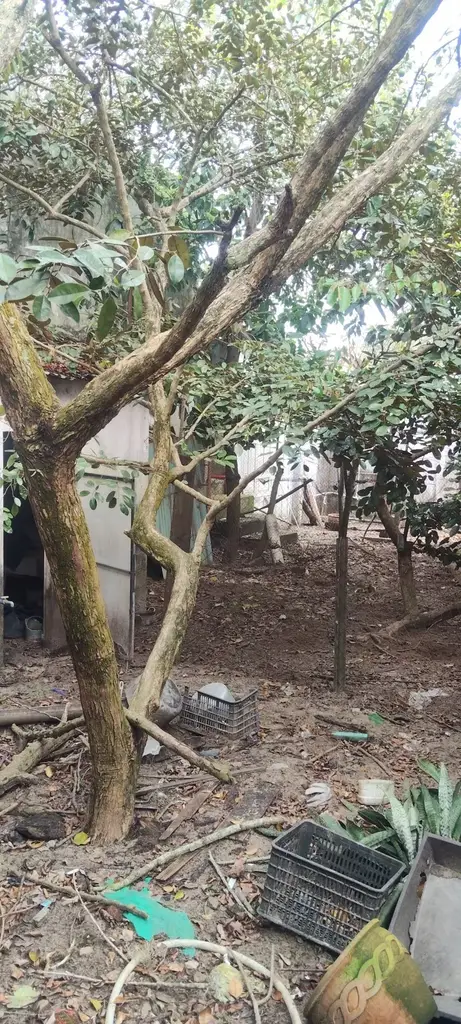 Bán nhà mặt tiền Nguyễn Tất Thành, Hội An – 1.600 m², 2 tầng, 35 tỷ – ảnh 5