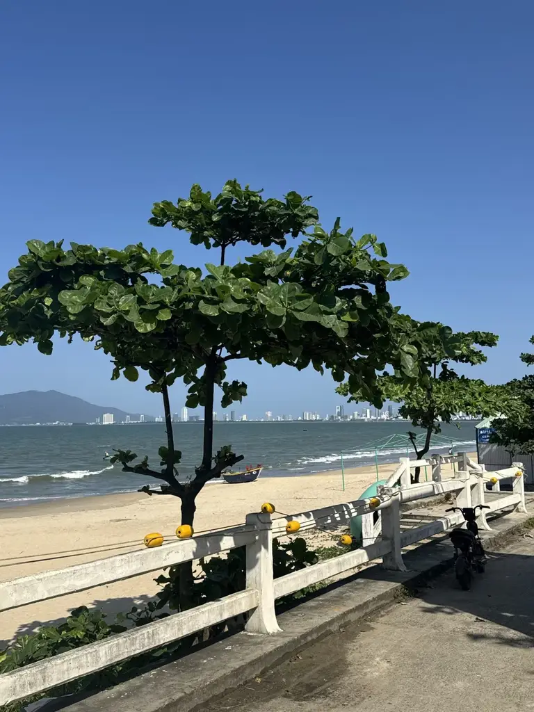 Bán đất mặt tiền Trần Đình Tri, Liên Chiểu – 96 m², 8,7 tỷ – ảnh 3