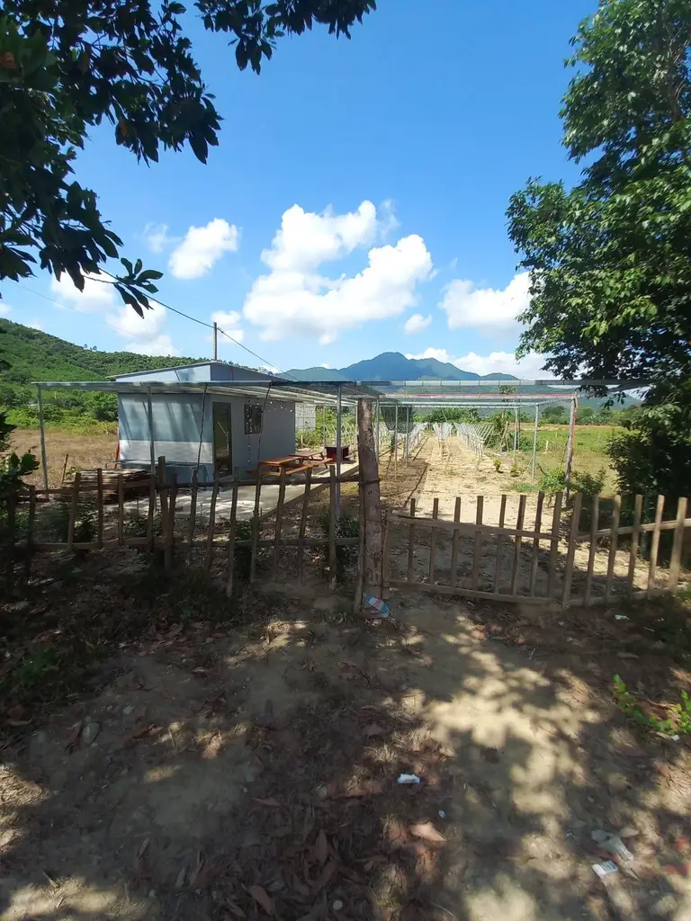 Bán đất Cầu khe ram, Hòa Vang – 1.090 m², 1,5 tỷ – ảnh 3
