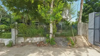 Bán đất Thôn Thạch Bồ, Hòa Vang – 124 m², 1,55 tỷ – ảnh 2