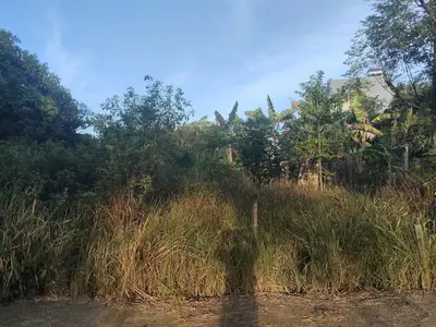Bán đất Thôn Phú Sơn 3, Hòa Vang – 169 m², 1,3 tỷ – ảnh 2