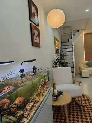 Bán nhà Kiệt Trần Cao Vân, Thanh Khê – 38 m², 2 tầng, 3,45 tỷ – ảnh 6