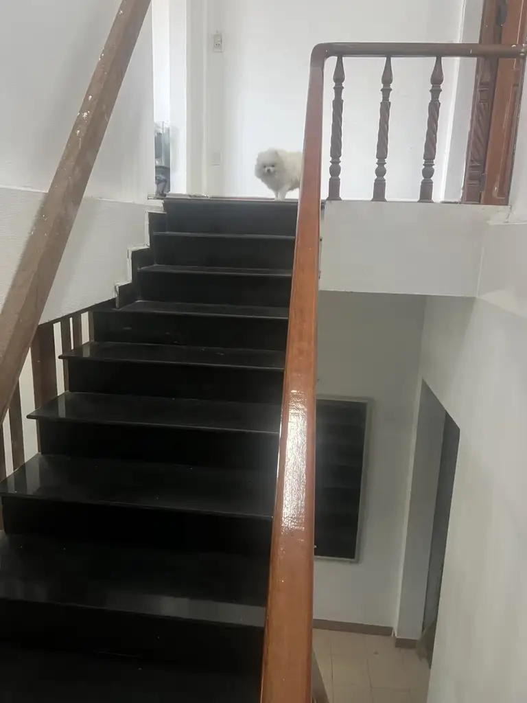 Bán nhà mặt tiền Phú Lộc 9, Liên Chiểu – 75 m², 3 tầng, 8,3 tỷ – ảnh 5