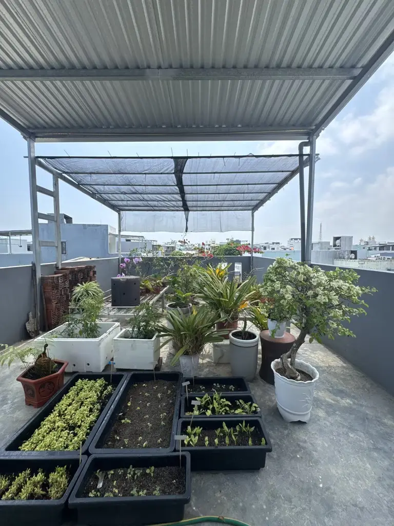 Bán nhà Huỳnh Ngọc Huệ, Thanh Khê – 67 m², 3 tầng, 5,05 tỷ – ảnh 4