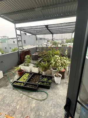 Bán nhà Huỳnh Ngọc Huệ, Thanh Khê – 67 m², 3 tầng, 5,05 tỷ – ảnh 9