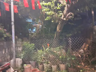 Bán đất Trần Đình Nam, Cẩm Lệ – 100 m², 1,29 tỷ