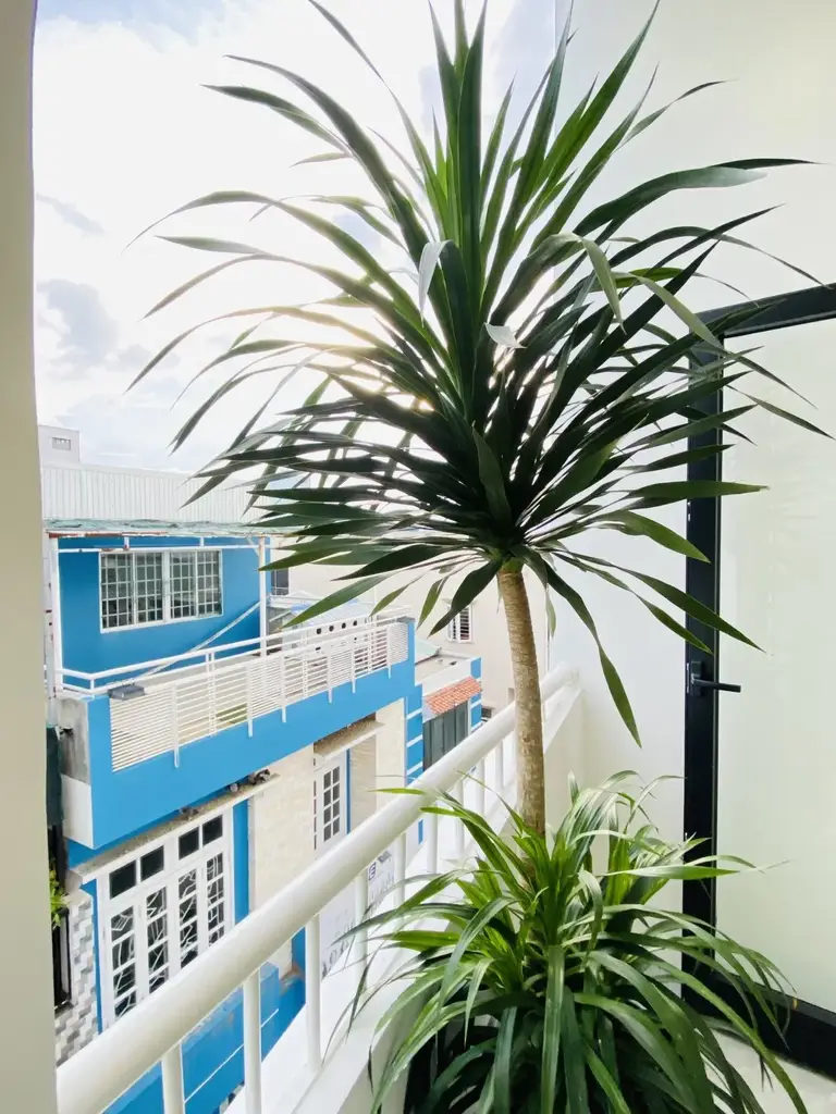 Bán nhà Kiệt Lê Đình Lý, Hải Châu – 170 m², 5 tầng, 26,5 tỷ – ảnh 4
