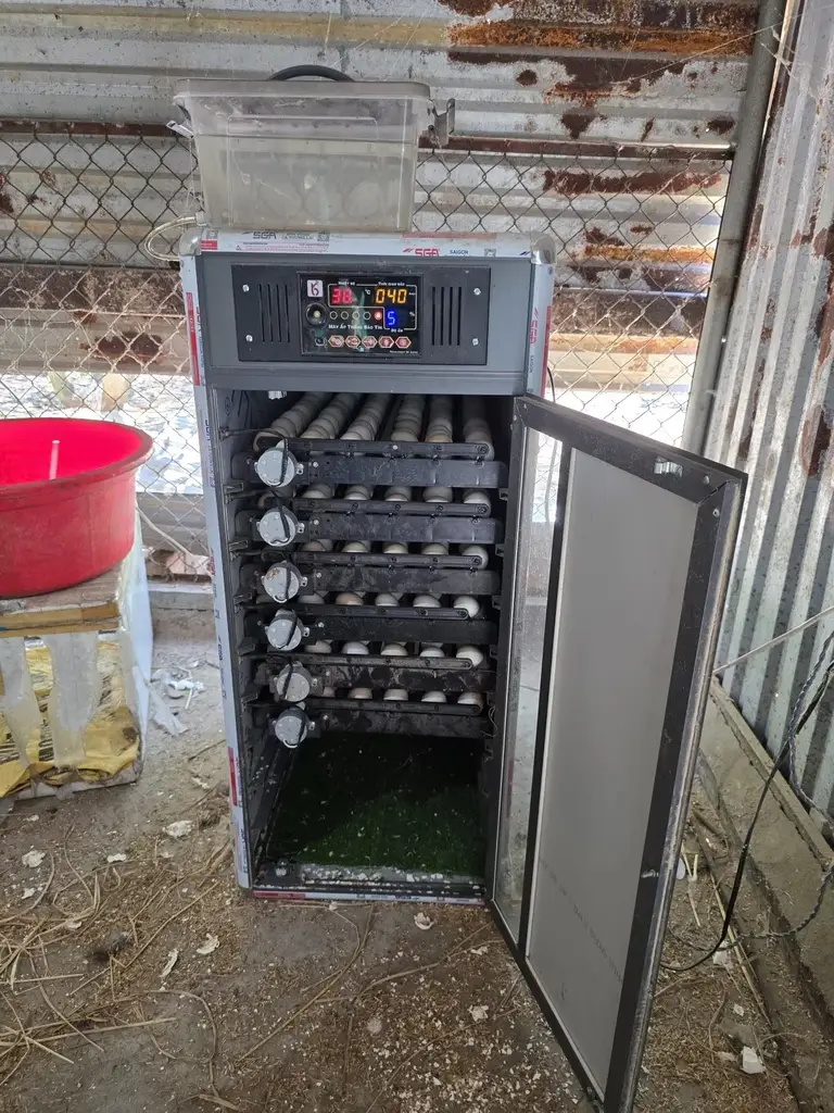 Bán đất mặt tiền Bình Dương Thăng Bình, Quảng Nam (khu khác) – 65.805 m², 40 tỷ – ảnh 2