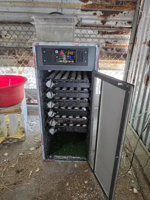 Bán đất mặt tiền Bình Dương Thăng Bình, Quảng Nam (khu khác) – 65.805 m², 40 tỷ – ảnh 2