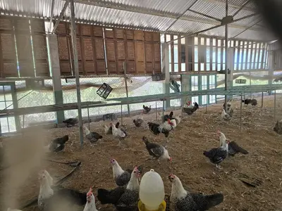 Bán đất mặt tiền Bình Dương Thăng Bình, Quảng Nam (khu khác) – 65.805 m², 40 tỷ – ảnh 8