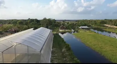 Bán đất mặt tiền Bình Dương Thăng Bình, Quảng Nam (khu khác) – 65.805 m², 40 tỷ – ảnh 9