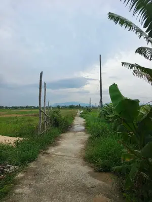 Bán đất Kiệt Lưu Quang Vũ, Ngũ Hành Sơn – 132 m², 2,6 tỷ