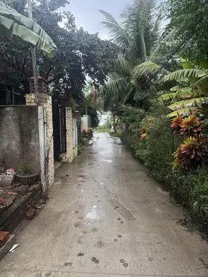 Bán đất Kiệt Tống Văn Sương, Hội An – 181,9 m², 4,5 tỷ – ảnh 2