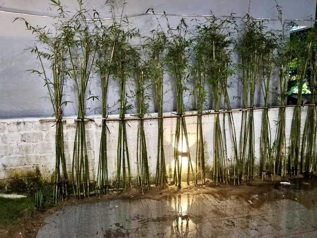 Bán nhà Dx 18, Hội An – 351,2 m², 2 tầng, 9,7 tỷ – ảnh 2