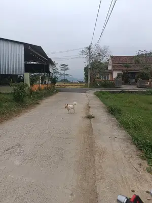 Bán đất An Trạch, Hòa Vang – 597 m², 4,15 tỷ