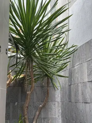 Bán nhà Hoàng Diệu, Hải Châu – 41 m², 2 tầng, 3,9 tỷ – ảnh 7