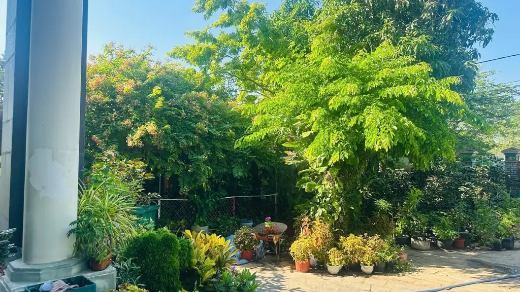 Bán nhà mặt tiền Nguyễn Tất Thành, Hội An – 1.421 m², 2 tầng, 31,3 tỷ – ảnh 2