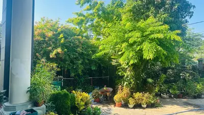 Bán nhà mặt tiền Nguyễn Tất Thành, Hội An – 1.421 m², 2 tầng, 31,3 tỷ – ảnh 2