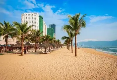 Bán nhà cấp 4 mặt tiền Tô Hiến Thành, Sơn Trà – 127,5 m², 22 tỷ – ảnh 2