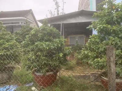 Bán đất mặt tiền Nguyễn Tất Thành, Hội An – 100 m², 4,5 tỷ – ảnh 2