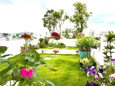 Bán nhà mặt tiền Thi Sách, Hải Châu – 75,5 m², 5 tầng, 14,8 tỷ