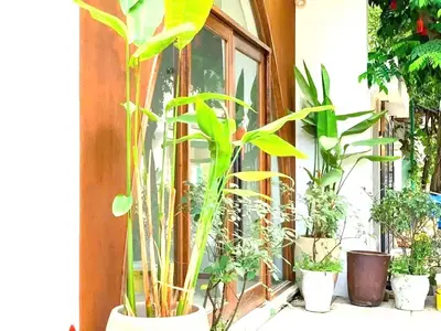 Bán nhà mặt tiền Thi Sách, Hải Châu – 75,5 m², 5 tầng, 14,8 tỷ – ảnh 12