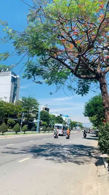 Bán nhà cấp 4 mặt tiền Lê Đại Hành, Cẩm Lệ – 200 m², 18 tỷ – ảnh 2