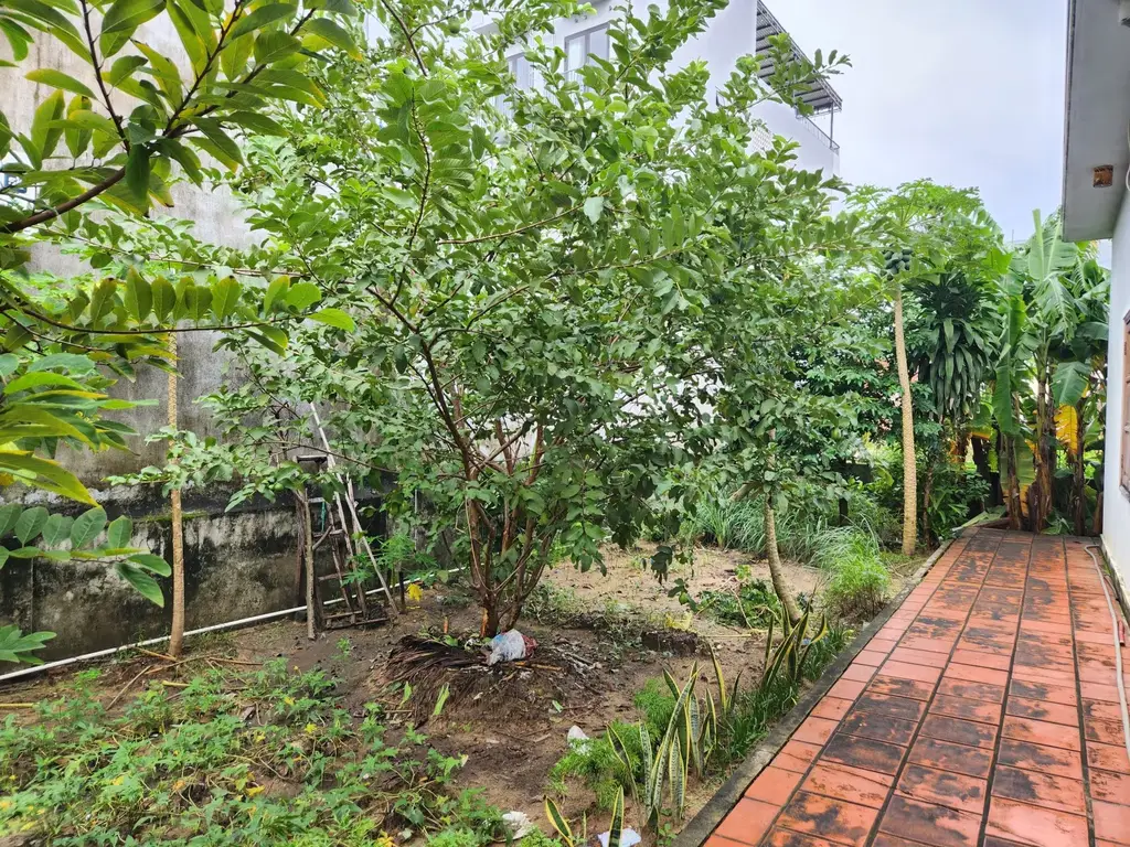 Bán nhà mặt tiền Trần Hưng Đạo sát FPT, Quảng Nam (khu khác) – 373,5 m², 1 tầng, 19,5 tỷ – ảnh 4