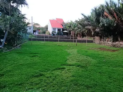 Bán đất Kiệt Trần Nhân Tông, Cẩm Châu, Hội An – 80 m², 2,25 tỷ