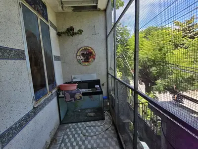 Bán nhà mặt tiền Trưng Nữ Vương, Hải Châu – 61 m², 3 tầng, 12,5 tỷ