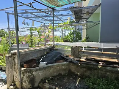 Bán nhà mặt tiền Trưng Nữ Vương, Hải Châu – 61 m², 3 tầng, 12,5 tỷ – ảnh 4