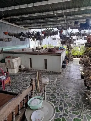 Bán nhà mặt tiền Trần văn Trà, Cẩm Lệ – 125 m², 2,5 tầng, 9 tỷ – ảnh 8