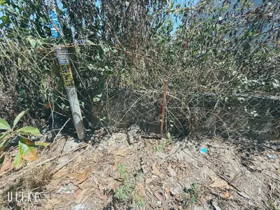 Bán đất mặt tiền Võ Như Hưng, Hội An – 100 m², 2,3 tỷ – ảnh 5