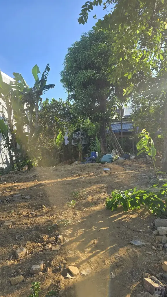 Bán đất Kiệt Nguyễn Nhàn, Cẩm Lệ – 69 m², 3,2 tỷ – ảnh 5