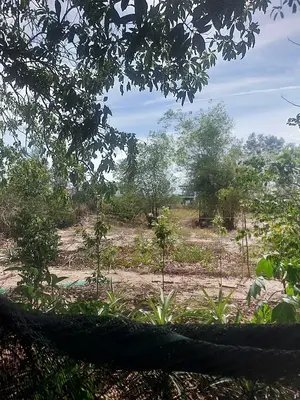 Bán nhà cấp 4 Duy Nghĩa, Hội An – 2.868 m², 34 tỷ