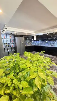 Bán nhà Kiệt Đinh Tiên Hoàng, Thanh Khê – 113,4 m², 3 tầng, 8,4 tỷ – ảnh 7