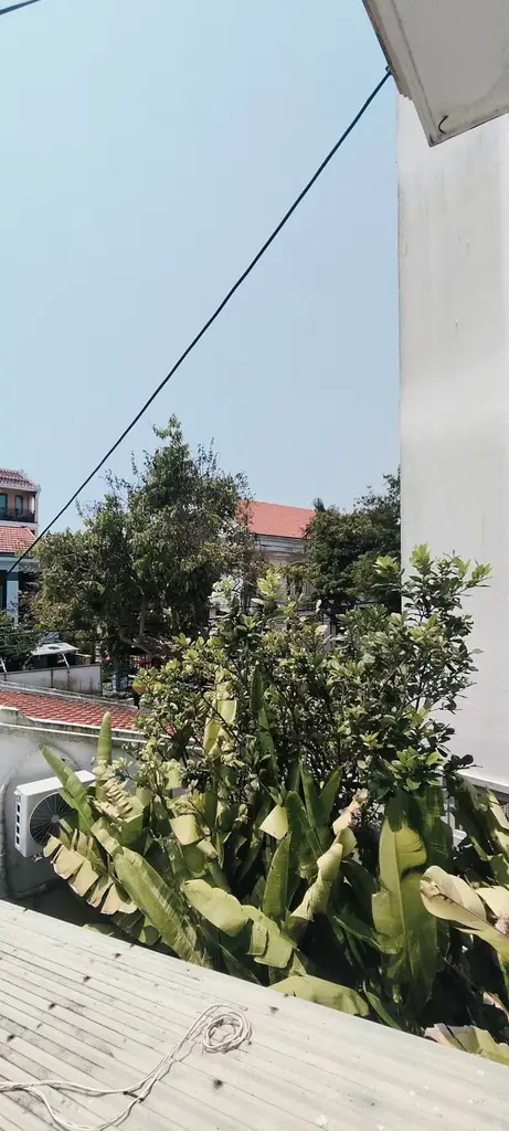 Bán nhà mặt tiền Phan Bội Châu, Hội An – 319,3 m², 2 tầng, 38 tỷ – ảnh 3