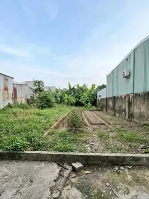 Bán đất Kiệt Trường Chinh, Cẩm Lệ – 140 m², 3,1 tỷ
