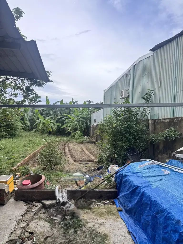 Bán đất Kiệt Trường Chinh, Cẩm Lệ – 140 m², 3,1 tỷ – ảnh 4