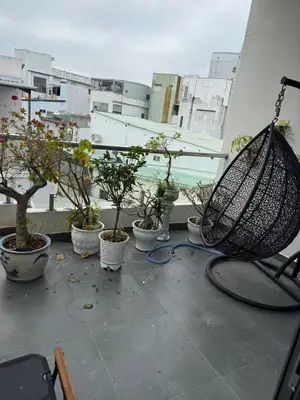 Bán nhà Kiệt Trưng Nữ Vương, Hải Châu – 57 m², 2 tầng, 4,55 tỷ – ảnh 5