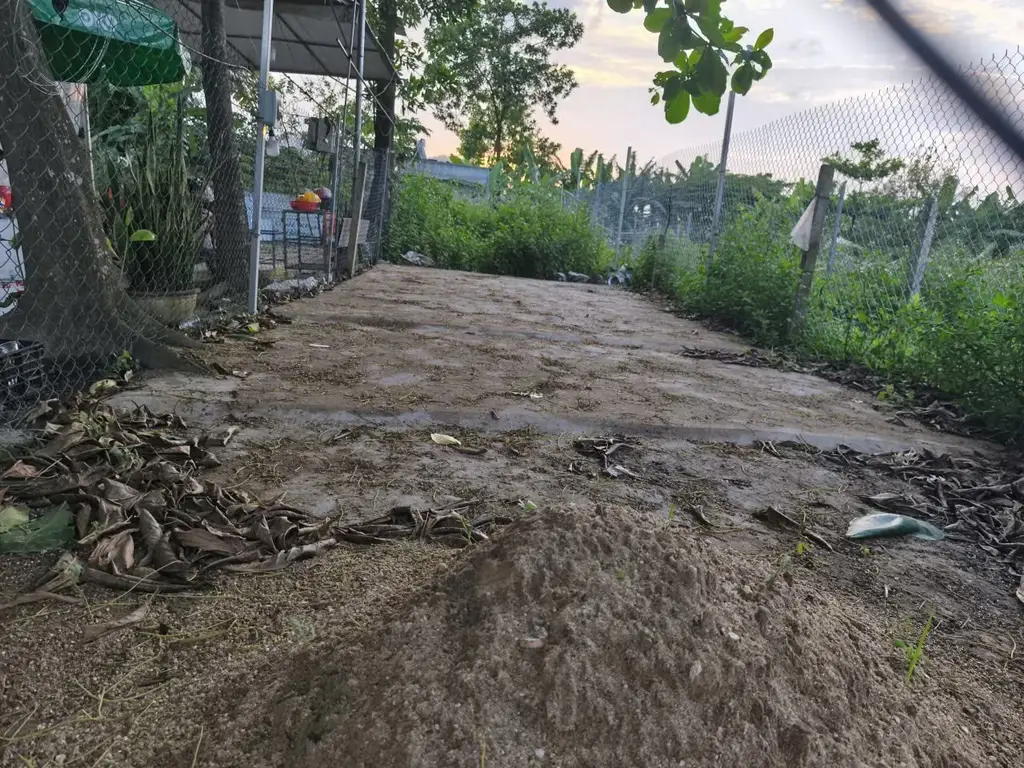 Bán đất mặt tiền MT Mẹ Suốt Tổ 42 Phường Hòa Khánh Nam Quận Liên chiểu, Liên Chiểu – 80 m², 1,1 tỷ – ảnh 2