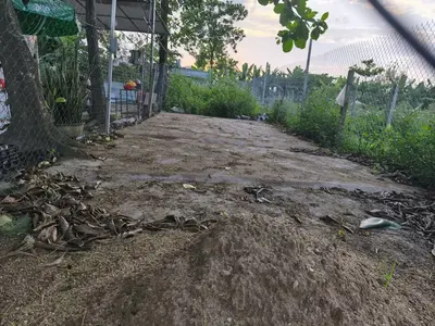 Bán đất mặt tiền MT Mẹ Suốt Tổ 42 Phường Hòa Khánh Nam Quận Liên chiểu, Liên Chiểu – 80 m², 1,1 tỷ – ảnh 2