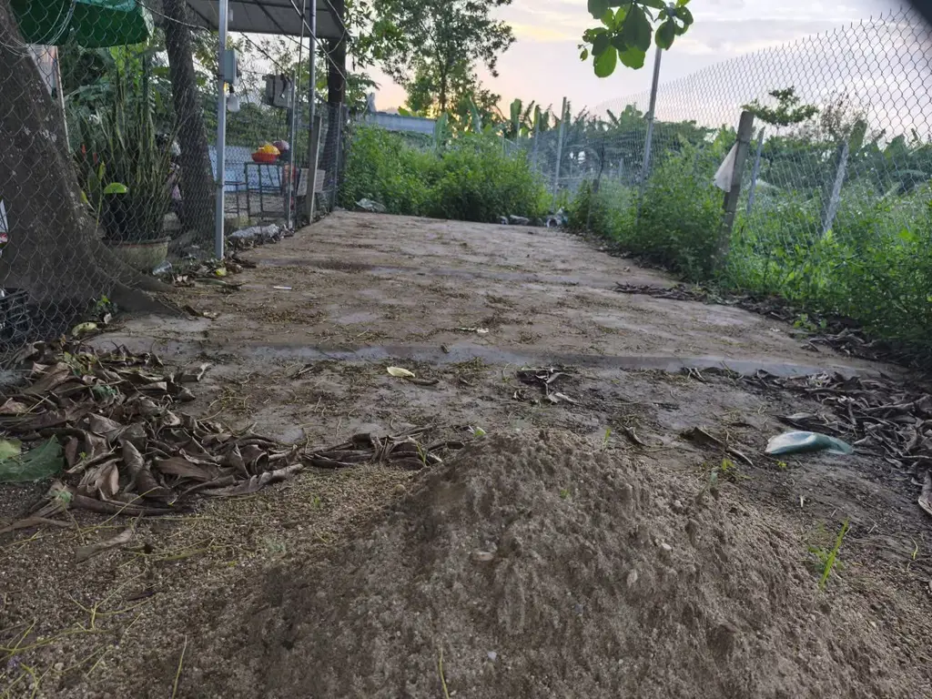 Bán đất mặt tiền MT Mẹ Suốt Tổ 42 Phường Hòa Khánh Nam Quận Liên chiểu, Liên Chiểu – 80 m², 1,1 tỷ – ảnh 3