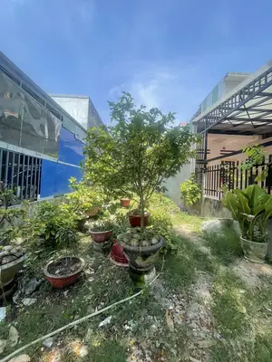 Bán đất Trần Tử Bình, Hòa Vang – 100 m², 5,45 tỷ